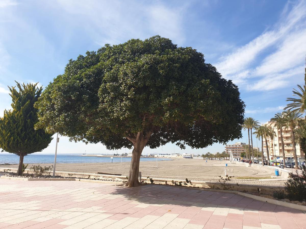 Apartament Beautiful Flat With Sea View And Sound Of The Surf Santa Pola Zewnętrze zdjęcie